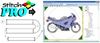 Picture of Upgrade StitchPro® Data-Master+ STI™ - Embroidery Digitizing Software